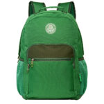 Mochila Juvenil Palmeiras 16470